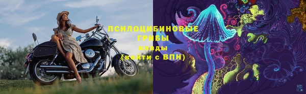 молекула духа Новокубанск