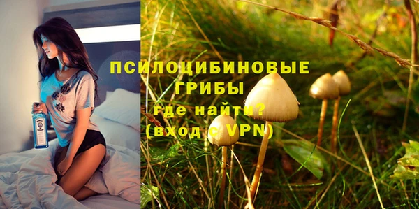 тгк Алексин