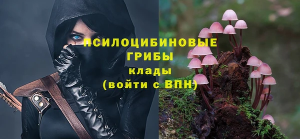 тгк Алексин